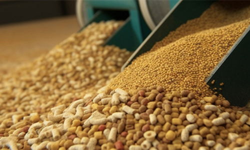 2024年豬飼料行業(yè)市場(chǎng)現(xiàn)狀、發(fā)展格局與原料銷售競(jìng)爭(zhēng)趨勢(shì)展望